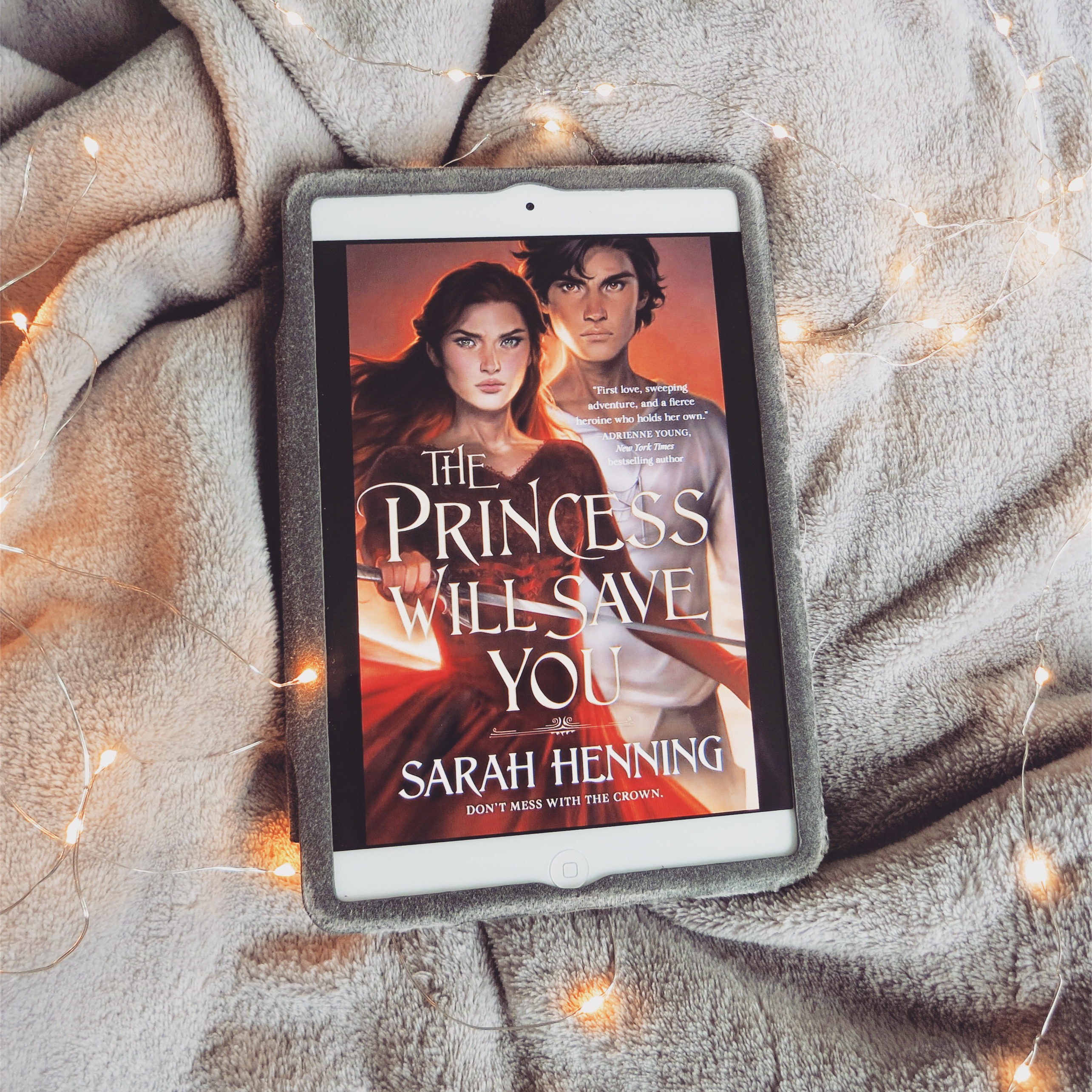 the princess will save you book